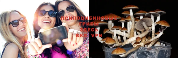 спиды Ладушкин
