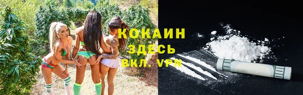 спиды Ладушкин